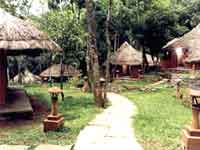 Hotel Vythiri Resort, Wayanad