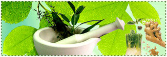 Reservation Booking for Hotel Resort in Kerela